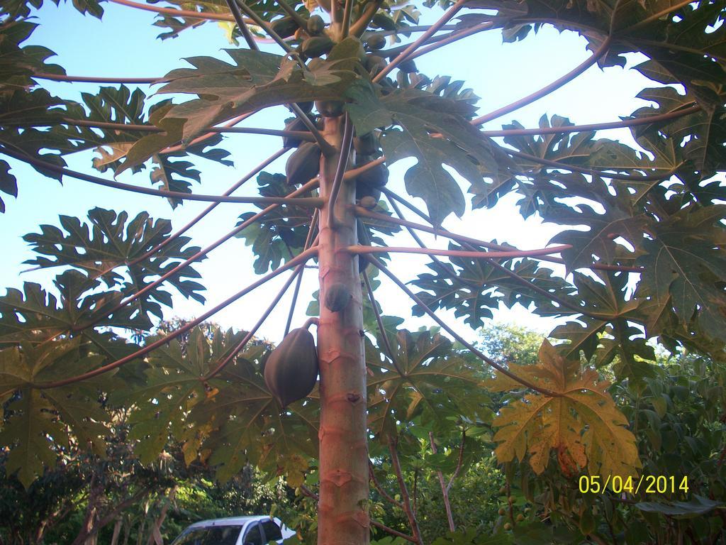 Pousada Pimenta Rosa Saquarema Exterior foto