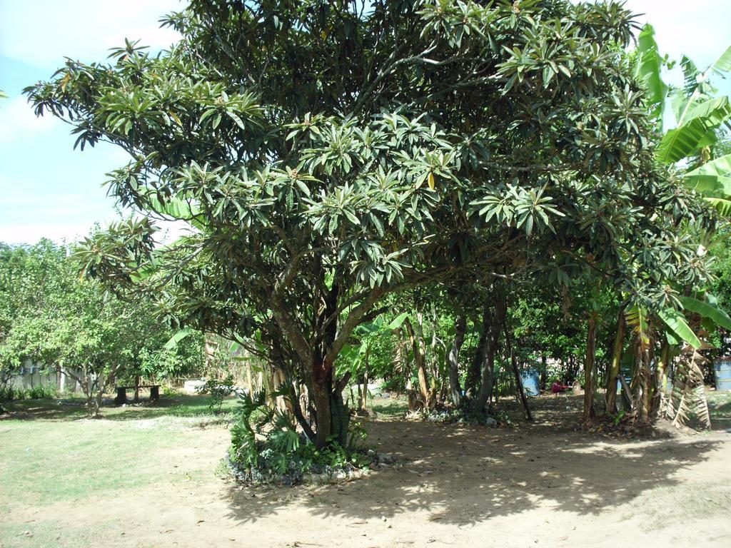Pousada Pimenta Rosa Saquarema Exterior foto